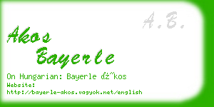 akos bayerle business card